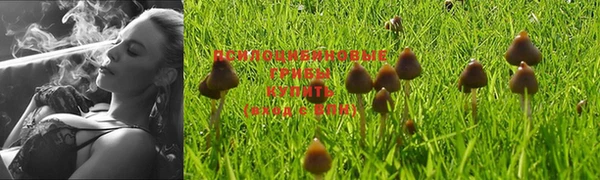 марки nbome Покров